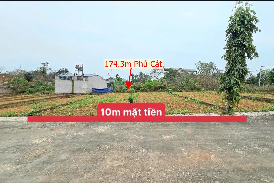 Hình ảnh Bán Lô Đất 174.3m Tại Phú Cát Quốc Oai Bám Đường Bê Tông Ô Tô Vào Tận Đất Dân Cư Đông Đúc Giá Đầu Tư