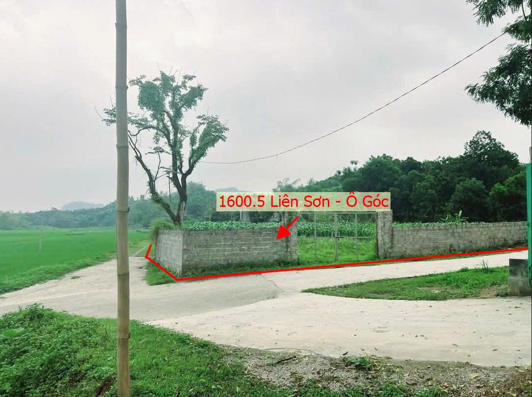 Hình ảnh Bán Lô Góc 2 Mặt Tiền 1600.5m Tại Liên Sơn Ô Tô Đỗ Tận Đất Sát Trục Kinh Doanh Giá Chỉ Vài Tỷ