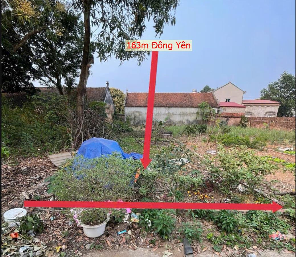 Hình ảnh Bán Lô Đất 163.3m Tại Phú Mãn Quốc Oai Bám Đường Bê Tông Ô Tô Vào Tận Đất Dân Cư Đông Đúc Thân Thiện Gần Hồ Điều Hòa THoáng Mát Quanh Năm