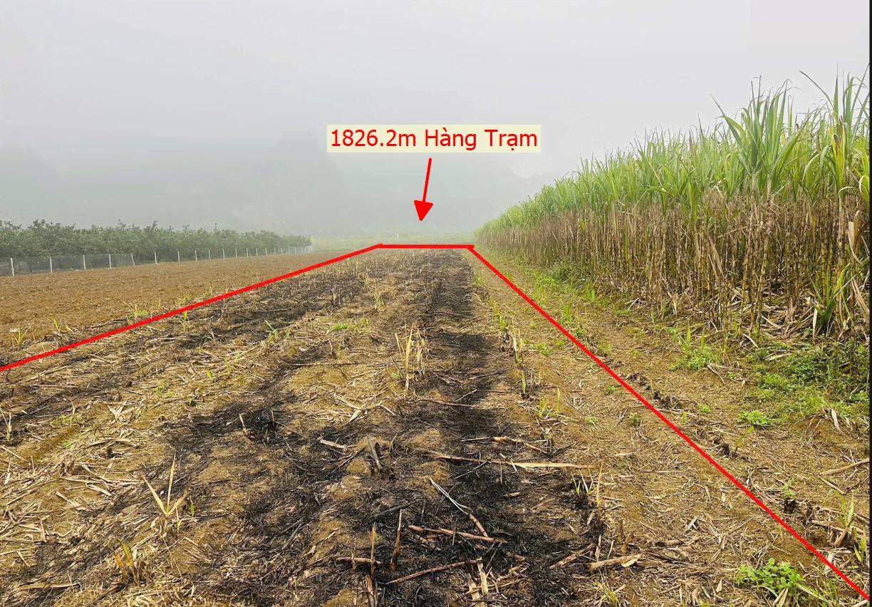 Hình ảnh Bán Lô Đất 1826.2m Tại Hàng Trạm Yên Thủy Bám Sẵn Vườn Cây Gần Chợ TRường Học Ủy Ban Giá Đầu Tư