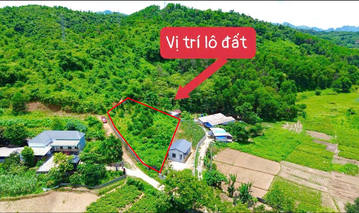 Hình ảnh Bán Lô Đất 1066.6m Tại Cao Dương Lương Sơn Bám Đường Bê Tông Ô Tô Vào Tận Đất Dân Cư Đông Gần Ql21 Giá Đầu Tư