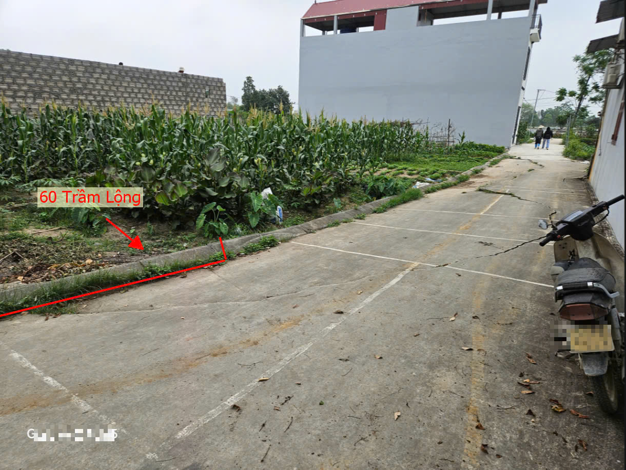 Hình ảnh Bán Thửa Đất 60mk Tại Trầm Lộng Ứng Hòa Ô Tô Đỗ Tận Đất Gần Đường TL426 Giá Chỉ Hơn Tỷ