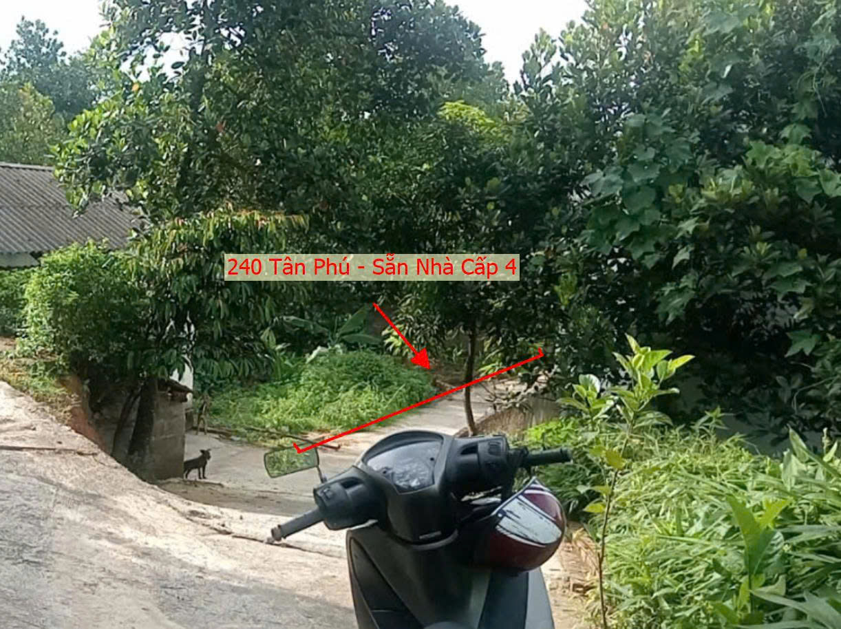 Hình ảnh Bán Đất Sẵn Nhà Cấp 4 Tại 240m Tại Tân Phú Quốc Oai Sát Mặt Đường Kinh Doanh TL419