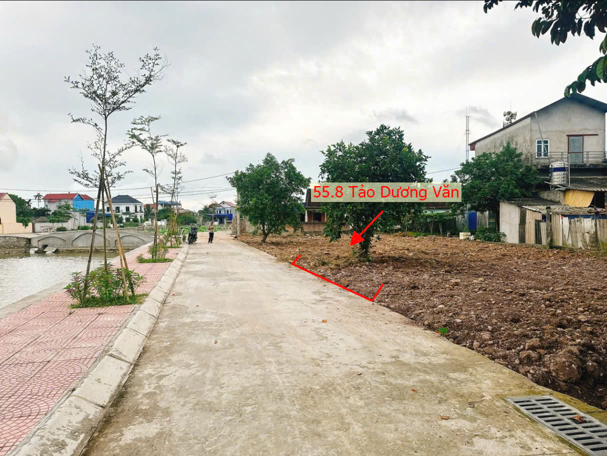 Hình ảnh Bán Đất Phân Lô 55.8m Tại Tảo Dương Văn Ứng Hòa Ô Tô Đỗ Tận Đất Mặt View Hộ Tự Nhiên Cực Đẹp