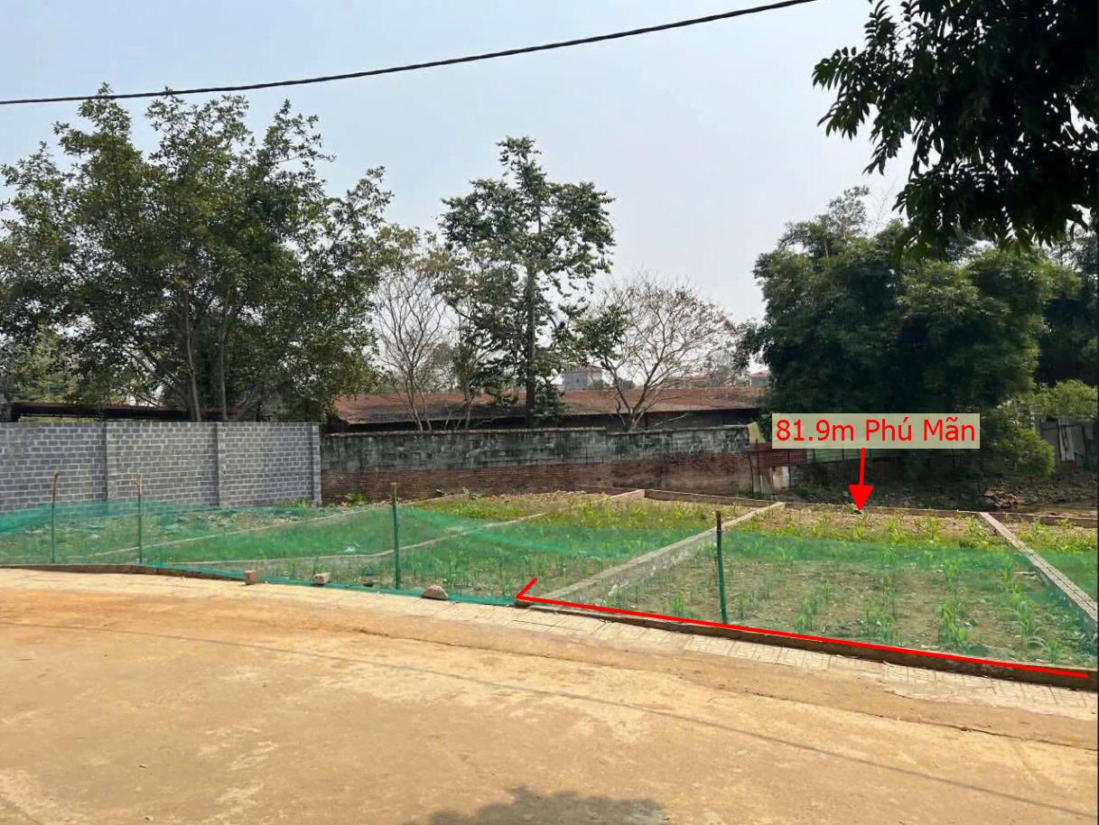 Hình ảnh Bán Lô Đất 81.9m Tại Phú Mãn Quốc Oai Bám Đường Bê Tôn Ô Tô Vào tận Đất Dân Cư Đông Đúc