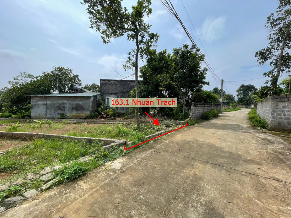 Hình ảnh Bán Thửa Đất 163.1m Tại Nhuận Trạch Lương Sơn Ô Tô Đỗ Tận Đất Sát Trục Kinh Doanh